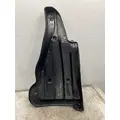 FREIGHTLINER Cascadia 126 Fender Extension thumbnail 7