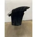 FREIGHTLINER Cascadia 126 Fender Extension thumbnail 6