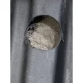 FREIGHTLINER Cascadia 126 Fender Extension thumbnail 7