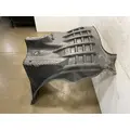 FREIGHTLINER Cascadia 126 Fender Extension thumbnail 3