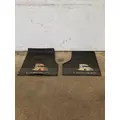 FREIGHTLINER Cascadia 126 Floor Pan thumbnail 2