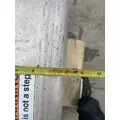 FREIGHTLINER Cascadia 126 Fuel Tank thumbnail 11
