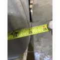 FREIGHTLINER Cascadia 126 Fuel Tank thumbnail 8