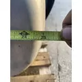 FREIGHTLINER Cascadia 126 Fuel Tank thumbnail 9