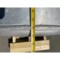 FREIGHTLINER Cascadia 126 Fuel Tank thumbnail 10