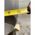 FREIGHTLINER Cascadia 126 Fuel Tank thumbnail 10