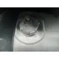 FREIGHTLINER Cascadia 126 Fuel Tank thumbnail 2