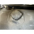 FREIGHTLINER Cascadia 126 Fuel Tank thumbnail 2