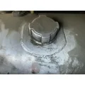FREIGHTLINER Cascadia 126 Fuel Tank thumbnail 2