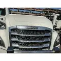 FREIGHTLINER Cascadia 126 Grille thumbnail 2