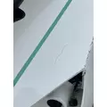 FREIGHTLINER Cascadia 126 Hood thumbnail 21