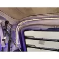 FREIGHTLINER Cascadia 126 Hood thumbnail 14