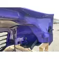 FREIGHTLINER Cascadia 126 Hood thumbnail 8