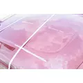 FREIGHTLINER Cascadia 126 Hood thumbnail 10