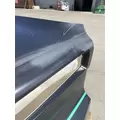 FREIGHTLINER Cascadia 126 Hood thumbnail 11