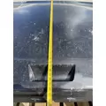FREIGHTLINER Cascadia 126 Hood thumbnail 11