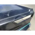 FREIGHTLINER Cascadia 126 Hood thumbnail 14
