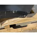 FREIGHTLINER Cascadia 126 Hood thumbnail 16