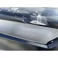 FREIGHTLINER Cascadia 126 Hood thumbnail 17
