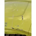 FREIGHTLINER Cascadia 126 Hood thumbnail 14