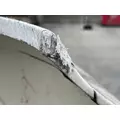 FREIGHTLINER Cascadia 126 Hood thumbnail 12