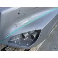 FREIGHTLINER Cascadia 126 Hood thumbnail 13