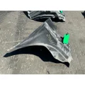 FREIGHTLINER Cascadia 126 Inner Fender thumbnail 1
