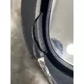 FREIGHTLINER Cascadia 126 Mirror (Side View) thumbnail 9