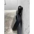FREIGHTLINER Cascadia 126 Mirror (Side View) thumbnail 3