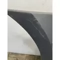 FREIGHTLINER Cascadia 126 Side Fairing thumbnail 8