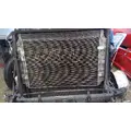 FREIGHTLINER Cascadia_40621 AC Condenser thumbnail 2