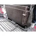 FREIGHTLINER Cascadia_40621 AC Condenser thumbnail 2
