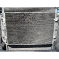 FREIGHTLINER Cascadia_40621 AC Condenser thumbnail 2