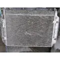 FREIGHTLINER Cascadia_40621 AC Condenser thumbnail 3