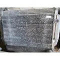 FREIGHTLINER Cascadia_42478 AC Condenser thumbnail 2