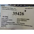 FREIGHTLINER Cascadia Air Bag thumbnail 9