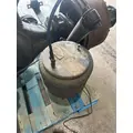 FREIGHTLINER Cascadia Axle Assembly, Rear thumbnail 7