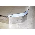 FREIGHTLINER Cascadia Bumper Assembly, Front thumbnail 8