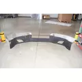 FREIGHTLINER Cascadia Bumper Assembly, Front thumbnail 10