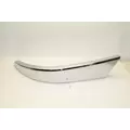 FREIGHTLINER Cascadia Bumper Assembly, Front thumbnail 9