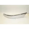FREIGHTLINER Cascadia Bumper Assembly, Front thumbnail 8