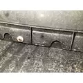 FREIGHTLINER Cascadia Bumper Assembly, Front thumbnail 10