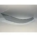 FREIGHTLINER Cascadia Bumper Assembly, Front thumbnail 10