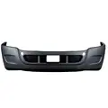 FREIGHTLINER Cascadia Bumper Assembly, Front thumbnail 1