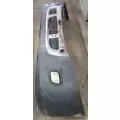 FREIGHTLINER Cascadia Bumper Assembly, Front thumbnail 8