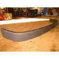 FREIGHTLINER Cascadia Bumper Filler Panel thumbnail 3
