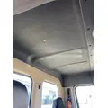 FREIGHTLINER Cascadia Cab thumbnail 19