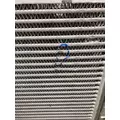 FREIGHTLINER Cascadia Charge Air Cooler thumbnail 4