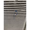 FREIGHTLINER Cascadia Charge Air Cooler thumbnail 4