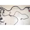 FREIGHTLINER Cascadia Chassis Wiring Harness thumbnail 5